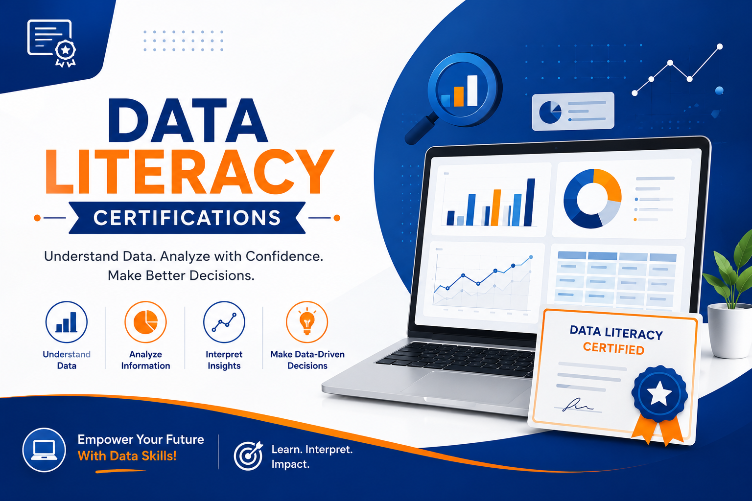 Data Literacy Certification